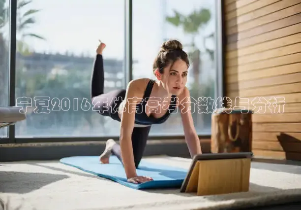 蜘蛛体育直播小狐狸